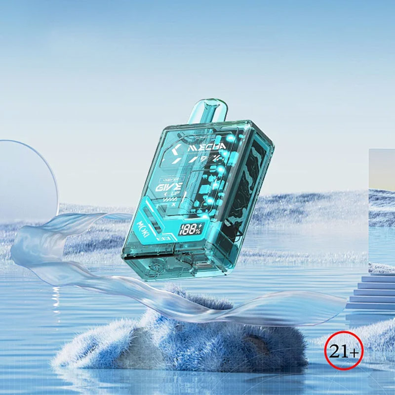 IBvape E-Cigarete Buying Guide and Insider Tips for Selecting the Ultimate Electronic Cigarette Case